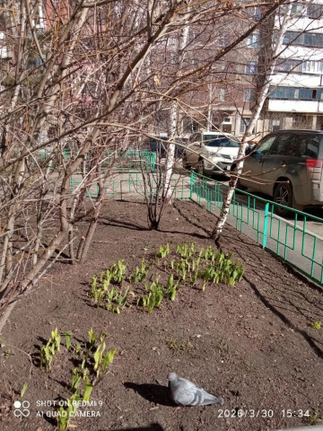 Приводим в порядок дворы после зимы