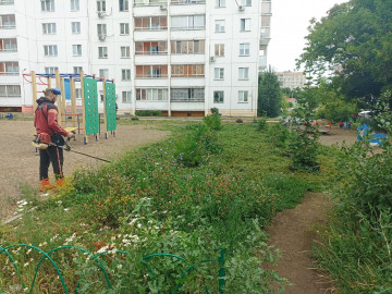 В 134 микрорайоне начался второй покос травы