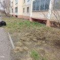 Завершился субботник в доме №220/1 по проспекту Карла Маркса
