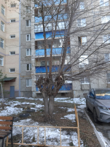Продолжаем обрезку деревьев и кустарников