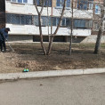 Убрались за домом № 176/2 по улице Советской