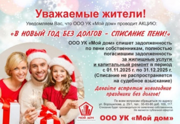 В НОВЫЙ ГОД БЕЗ ДОЛГОВ!