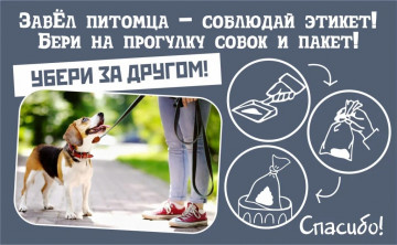 Заботимся о чистоте и комфорте наших дворов!