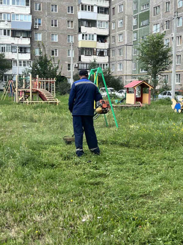 Завершился покос травы