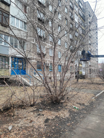 В 136 микрорайоне завершили весеннюю обрезку деревьев