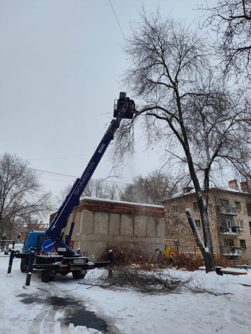 Продолжаем работы по обрезке деревьев