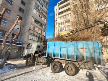 Убрали спиленные ветки