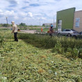 Продолжаем косить траву
