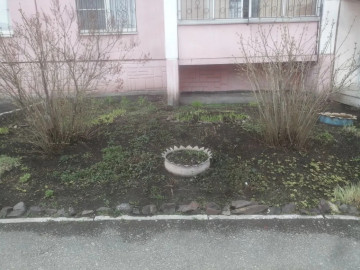 В борьбе за чистоту дворов!
