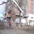 ООО УК "Мой дом" закончила весеннюю обрезку деревьев.
