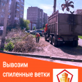 Наши будни