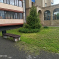 Косим траву во дворах