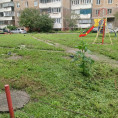В 143 микрорайоне продолжается покос травы