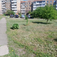 Запах лета