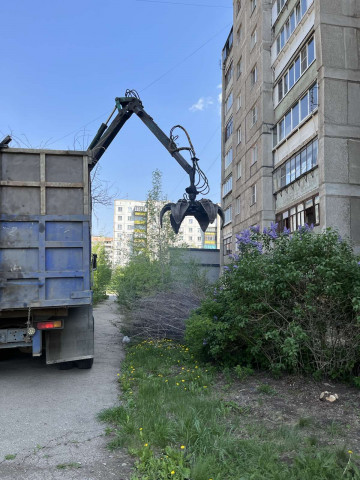Произведен вывоз веток после санитарной обрезки деревьев