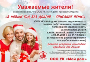 В НОВЫЙ ГОД БЕЗ ДОЛГОВ!